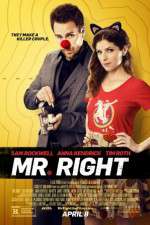 Watch Mr. Right Vodly
