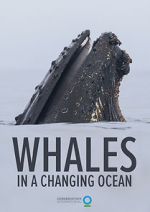 Watch Whales in a Changing Ocean (Short 2021) Vodly