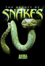 Watch Beauty of Snakes Vodly