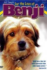 Watch For the Love of Benji Online Vodly