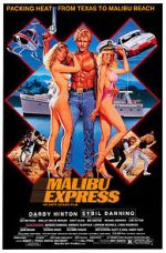 Watch Malibu Express Online Vodly