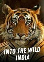 Watch Vodly Into the Wild India Online