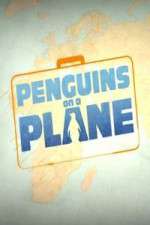 Watch Vodly Penguins on a Plane Online