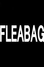 Watch Fleabag Vodly