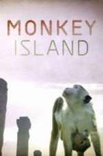Watch Monkey Island Vodly