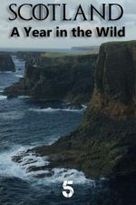 Watch Scotland: A Wild Year Vodly