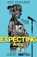 Watch Expecting Amy Vodly