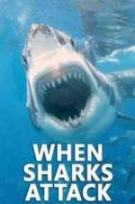 Watch When Sharks Attack Vodly
