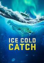Watch Vodly Ice Cold Catch Online