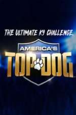 Watch America\'s Top Dog Vodly