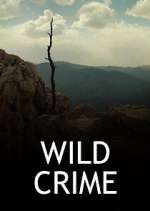 Watch Vodly Wild Crime Online