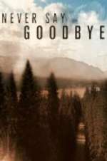 Watch Vodly Never Say Goodbye Online