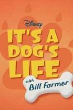 Watch It\'s a Dog\'s Life with Bill Farmer Vodly