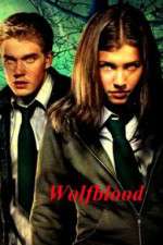 Watch Wolfblood Vodly