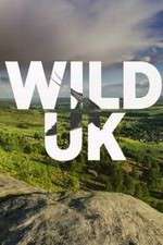 Watch Wild UK Vodly