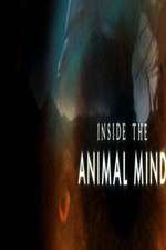 Watch Vodly Inside the Animal Mind Online