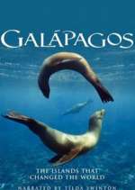 galapagos tv poster