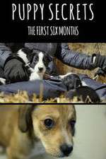 Watch Puppy Secrets: The First Six Months Vodly