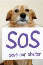 Watch Save Our Shelter Vodly