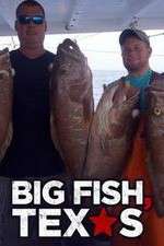 Watch Big Fish Texas Vodly