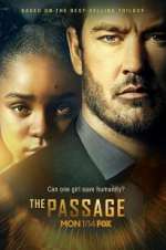 the passage tv poster