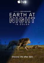 Watch Vodly Earth At Night In Color Online