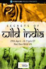 Watch Secrets of Wild India Vodly
