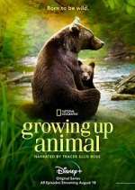 Watch Vodly Growing Up Animal Online