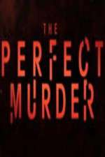 Watch The Perfect Murder Vodly