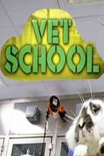 Watch Vet School Vodly