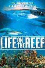 Watch Life on the Reef Vodly
