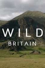 Watch Wild Britain Vodly