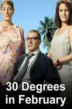 30 degrees in february tv poster