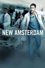 Watch New Amsterdam Vodly