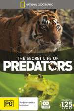 Watch Secret Life of Predators Vodly