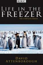 Watch Life in the Freezer Vodly