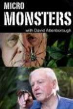 Watch Micro Monsters 3D with David Attenborough Vodly