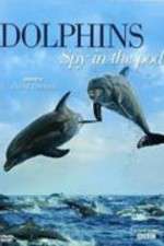 Watch Dolphins: Spy in the Pod Vodly
