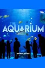 Watch The Aquarium Vodly