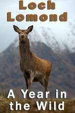 Watch Loch Lomond: A Year in the Wild Vodly