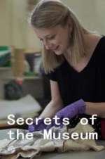 Watch Secrets of the Museum Vodly