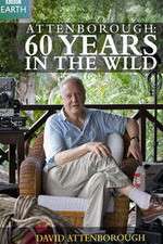Watch Attenborough 60 Years in the Wild Vodly