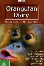 Watch Orangutan Diary Vodly