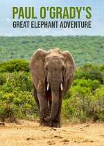 Watch Vodly Paul O'Grady's Great Elephant Adventure Online