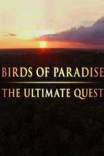 Watch Birds of Paradise: The Ultimate Quest Vodly