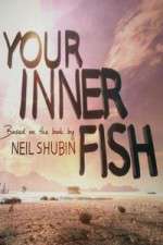 your inner fish tv poster