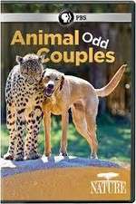 Watch Animal Odd Couples Vodly