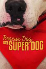 Watch Rescue Dog to Super Dog (US) Vodly