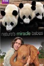 Watch Vodly Natures Miracle Babies Online