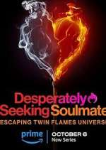 Watch Vodly Desperately Seeking Soulmate: Escaping Twin Flames Universe Online